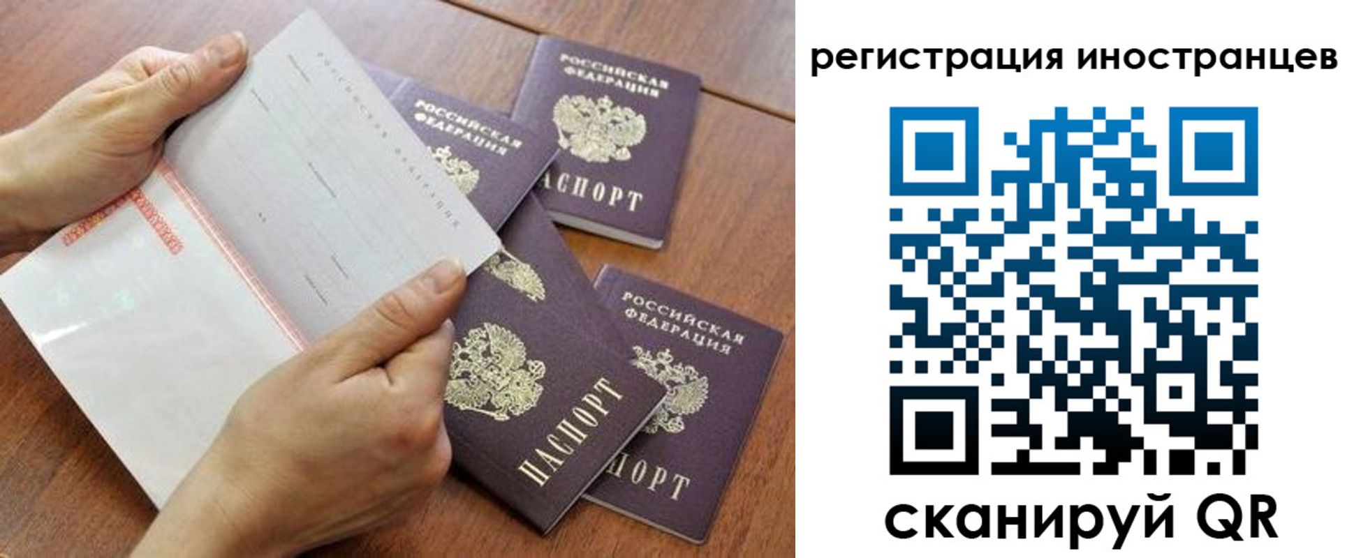 прописка поиск в Ленске